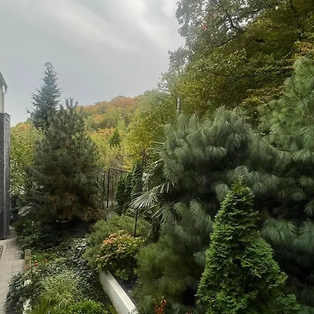 Apartmán Koliba 1 *